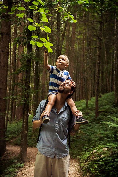 140,300+ Family Forest Stock Photos, Pictures & Royalty-Free Images